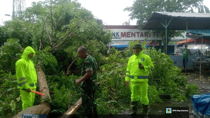 Hujan Angin Terjang Babat, Pohon Tumbang Timpa Motor & Toko Pasar Agrobis