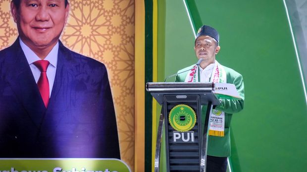 Irfan Ahmad Fauzi, Waketum DPP PUI