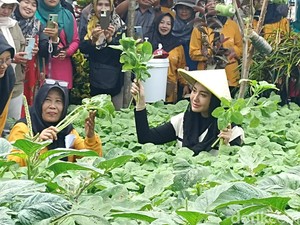 Program Sarinah, Solusi Kolaboratif Tuntaskan Sampah Lingkungan