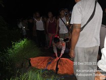 Korban Lakalantas Ditemukan Tewas di Jurang Penebel Tabanan