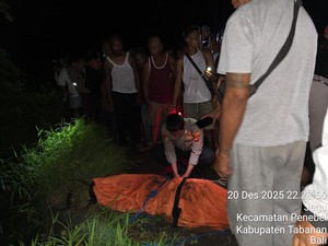 Korban Lakalantas Ditemukan Tewas di Jurang Penebel Tabanan