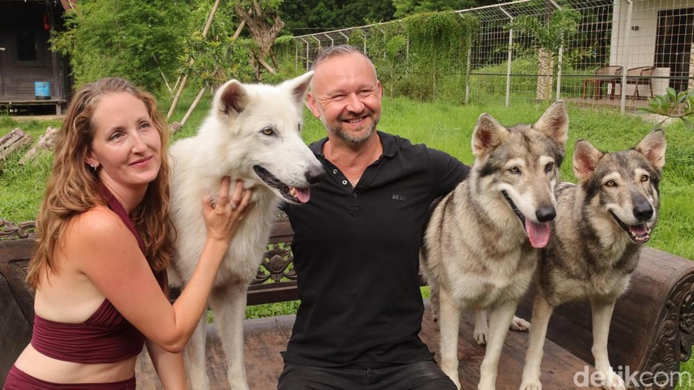 detikBali article image