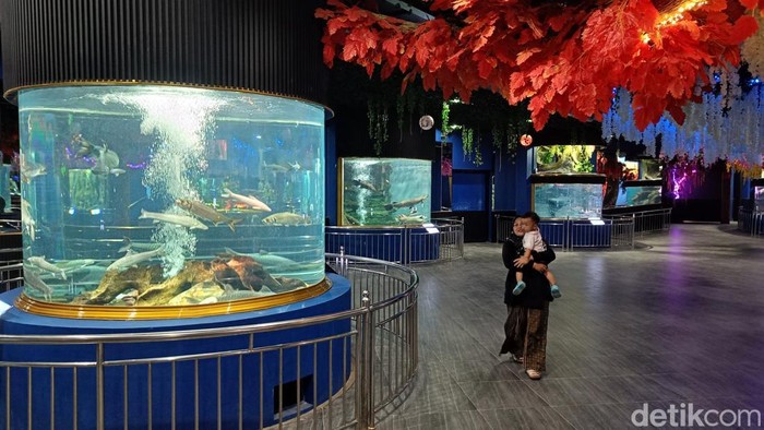 Wahana Baru Akuarium Kansae Purbasari Purbalingga, Cocok buat Liburan Nataru