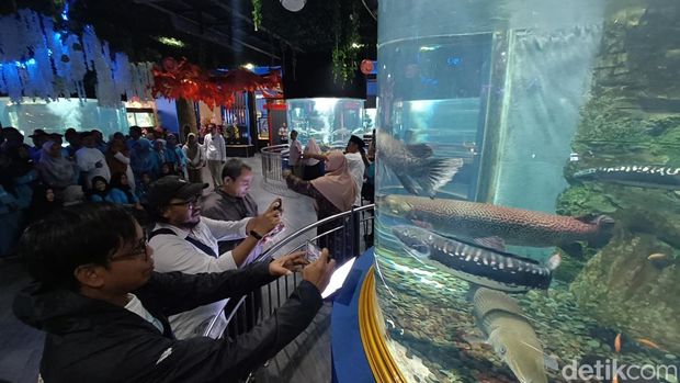 Pengunjung menikmati wahana Akuarium Kansae dengan koleksi berbagai macam ikan dalam tabung besar di Purbasari Pancuran Mas Purbalingga, Sabtu (20/12/2025).
