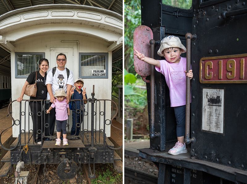 Review Tamron 25-200mm Review Tamron 25-200mm