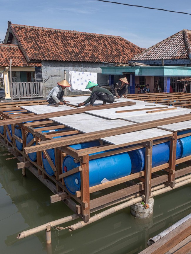 Rumah Apung Jadi Harapan Warga Pesisir Demak Hadapi Banjir Rob Permanen