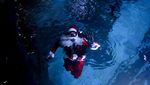 Santa Bawah Laut Jadi Daya Tarik Natal di Akuarium Raksasa Rio