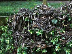 10 Tempat Paling Berbahaya di Dunia yang Haram Didatangi