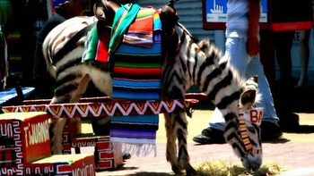 Menurut GOV.UK, Tijuana, Meksiko, telah dilabeli sebagai kota yang sangat penuh kekerasan dan dianggap sebagai salah satu destinasi yang paling tidak disarankan bagi para pelancong. Menurut Armormax, kota ini menghadapi kekerasan tanpa henti yang dipicu oleh kejahatan terorganisir, kemiskinan semakin meluas, perdagangan narkoba, dan jalur penyelundupan manusia. Foto: Bored Panda