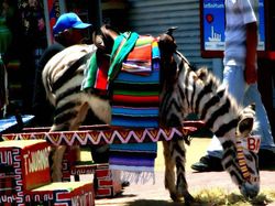 10 Tempat Paling Berbahaya di Dunia yang Haram Didatangi