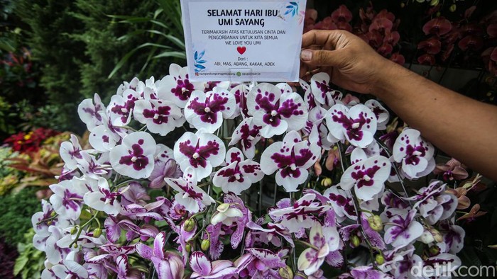 Berkah Hari Ibu, Penjual Anggrek Darmawangsa Kebanjiran Pembeli Pengunjung melihat bunga anggrek di Jalan Darmawangsa Raya, Jakarta, Senin (22/12/2025).