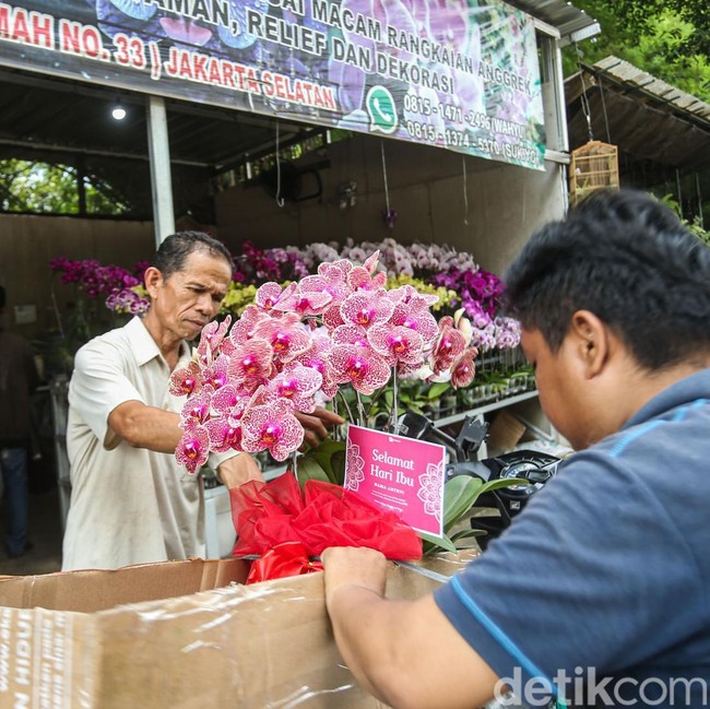 Hari Ibu dan Nataru Dongkrak Penjualan Anggrek di Darmawangsa Jaksel