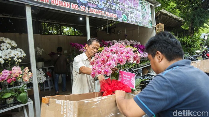 Berkah Hari Ibu, Penjual Anggrek Darmawangsa Kebanjiran Pembeli Pengunjung melihat bunga anggrek di Jalan Darmawangsa Raya, Jakarta, Senin (22/12/2025).