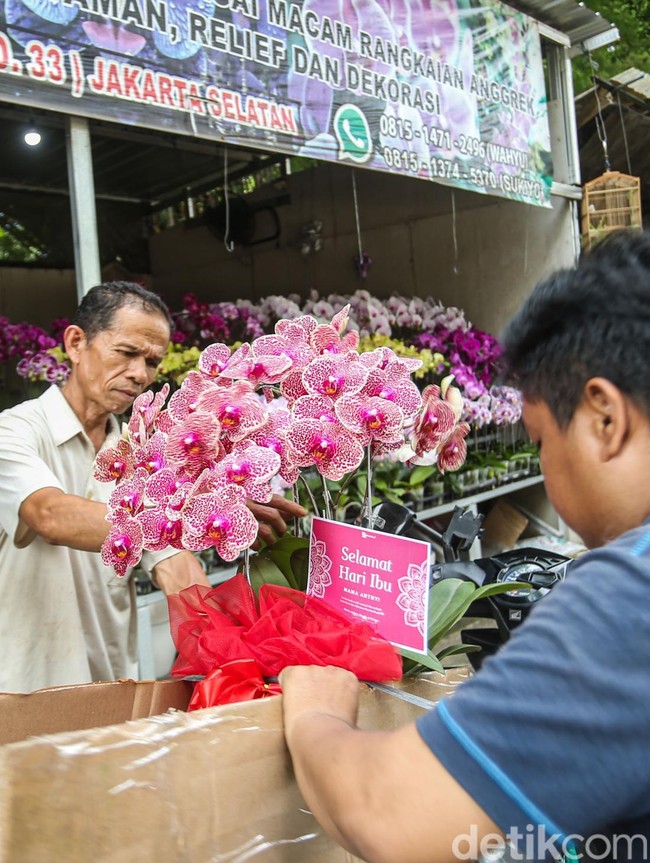 Hari Ibu dan Nataru Dongkrak Penjualan Anggrek di Darmawangsa Jaksel