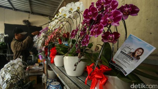 Pengunjung melihat bunga anggrek di Jalan Darmawangsa Raya, Jakarta, Senin (22/12/2025).