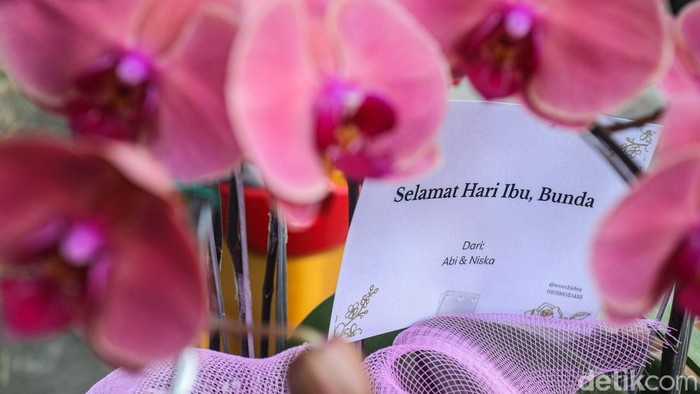 Berkah Hari Ibu, Penjual Anggrek Darmawangsa Kebanjiran Pembeli Pengunjung melihat bunga anggrek di Jalan Darmawangsa Raya, Jakarta, Senin (22/12/2025).