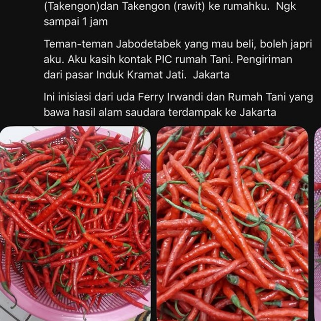 Borong Cabe Takengon Terus Berlanjut, 10 Ton Tiba di Jakarta