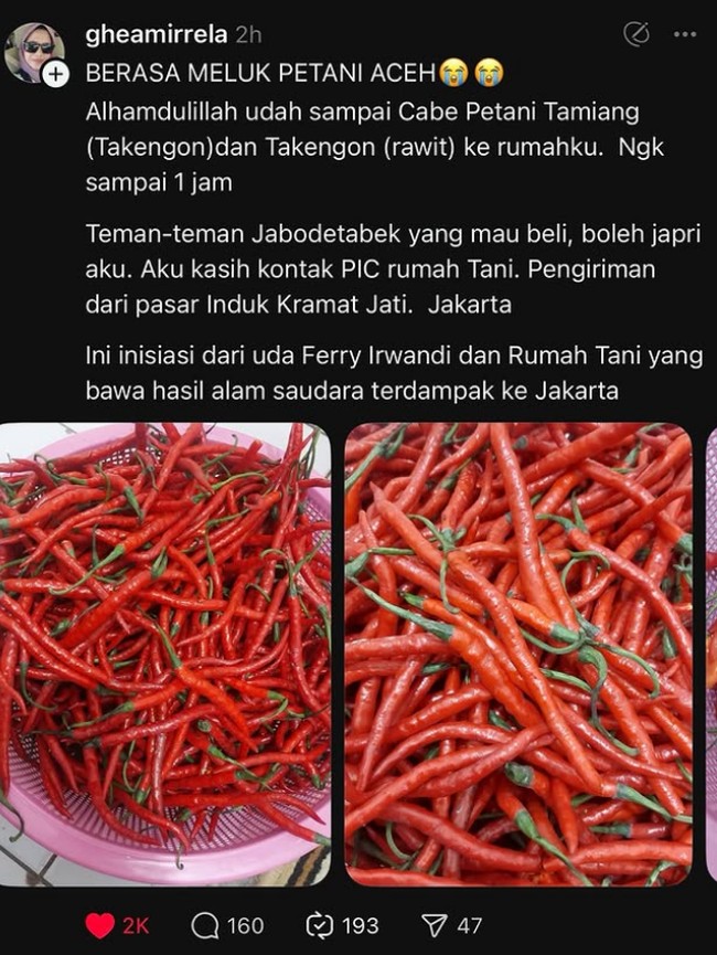 Borong Cabe Takengon Terus Berlanjut, 10 Ton Tiba di Jakarta