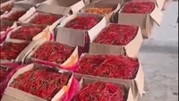 Banyak sekali cabe merah keriting dan cabe rawit yang kualitasnya baik. Kualitas cabenya bagus sekali dan stoknya itu melimpah di Bener Meriah dan Aceh Tengah teman-teman, ungkap Ferry Irwandi. Foto: Instagram @irwandiferry @kitabisacom @_rumahtani