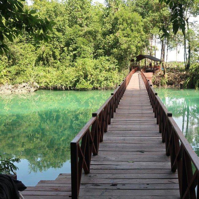 Potret Cantiknya Kakaban, Danau dengan Sejuta Ubur-ubur Tak Menyengat