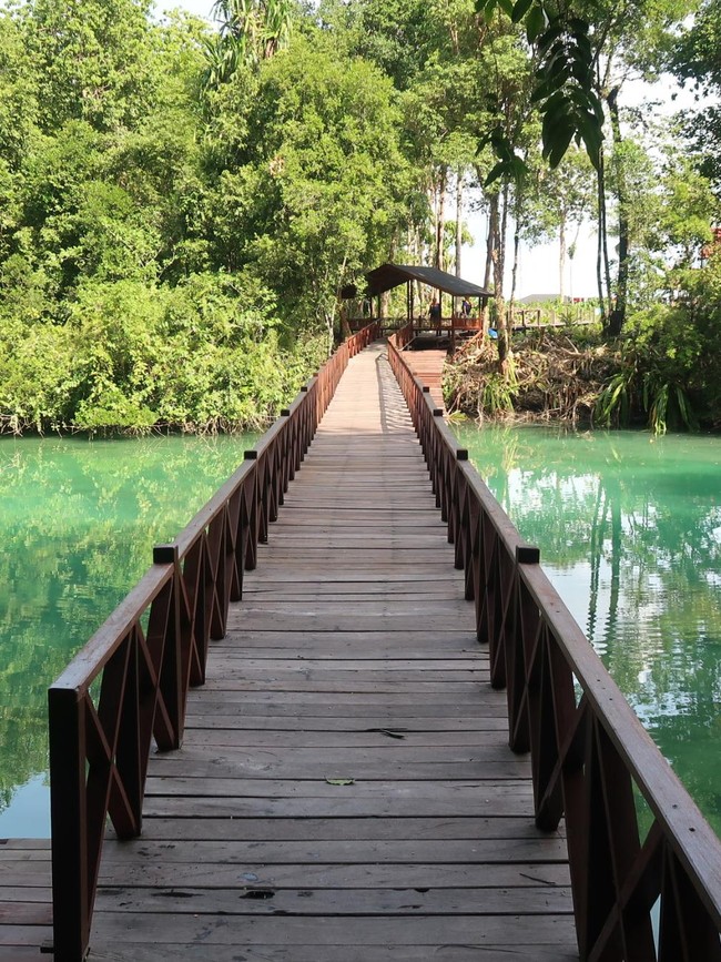 Potret Cantiknya Kakaban, Danau dengan Sejuta Ubur-ubur Tak Menyengat