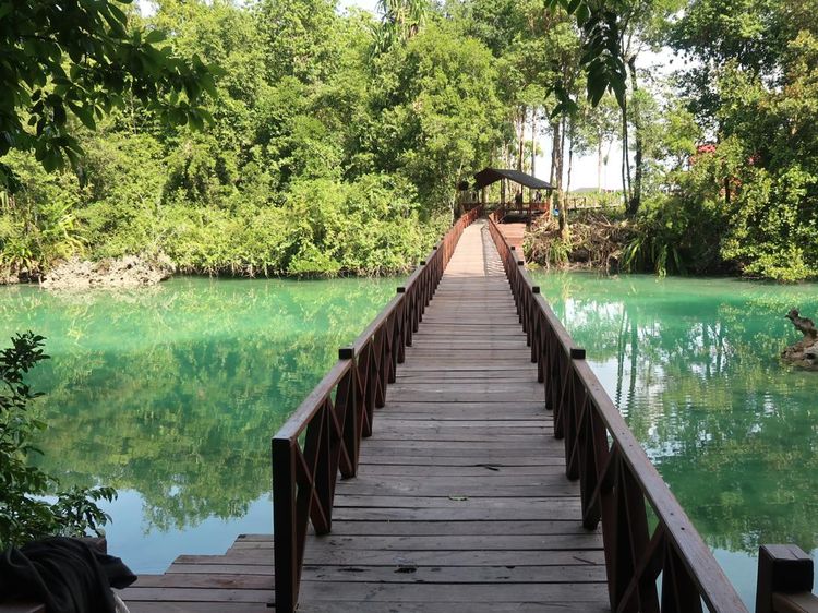 Potret Cantiknya Kakaban, Danau dengan Sejuta Ubur-ubur Tak Menyengat