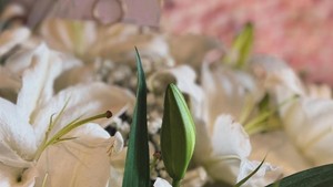 Cincin berlian di jari manis Denada sukses bikin penggemar penasaran dengan sosok pemberinya. Foto: Instagram/@denadaindonesia