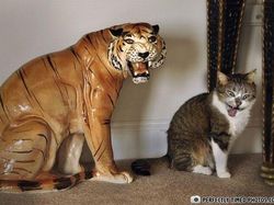 Bukan Editan Photoshop! Foto Dijepret di Waktu Tepat Bikin Melotot