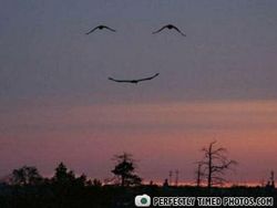 Bukan Editan Photoshop! Foto Dijepret di Waktu Tepat Bikin Melotot