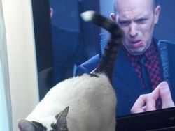 Bukan Editan Photoshop! Foto Dijepret di Waktu Tepat Bikin Melotot