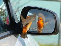 Bukan Editan Photoshop! Foto Dijepret di Waktu Tepat Bikin Melotot