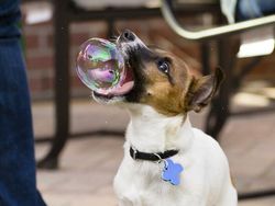 Bukan Editan Photoshop! Foto Dijepret di Waktu Tepat Bikin Melotot