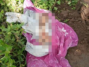Ibu di Jember Diduga Mutilasi Bayinya, Lengan Dibuang ke Septic Tank