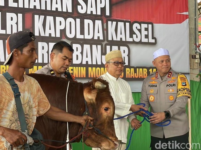 Penyerahan simbolis sapi dari Kapolri oleh Kapolda Kalsel untuk acara Haul Guru Sekumpul 5 Rajab di Martapura.