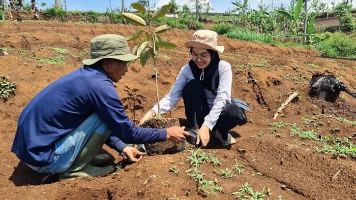 Kini Saatnya Perbaiki Lahan Kritis di Bandung Utara