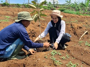 Kini Saatnya Perbaiki Lahan Kritis di Bandung Utara