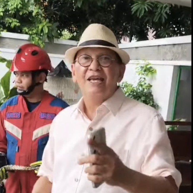 Tangkap Ular Sanca-Lepas Cincin Kawin! Deretan Seleb Pecahkan Masalah ke Damkar