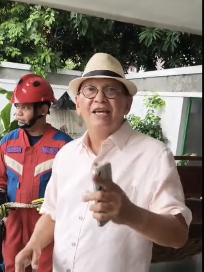 Tangkap Ular Sanca-Lepas Cincin Kawin! Deretan Seleb Pecahkan Masalah ke Damkar