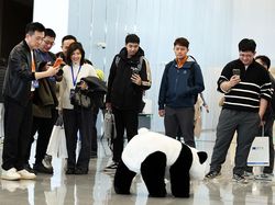 China Luncurkan Platform Sewa Robot Pertama, Siap Ekspansi ke 200 Kota