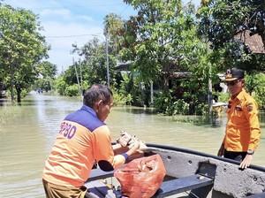 Banjir di Gresik Akibat Kali Lamong Meluap Mulai Surut Setelah 3 Hari