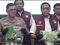 Ditangkap Sehari Jelang DWP 2025 di Bali, Pria Asal Toraja Divonis 6 Tahun