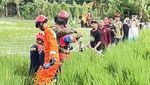 Potret Buaya Jumbo Dievakuasi dari Sawah Bantargebang