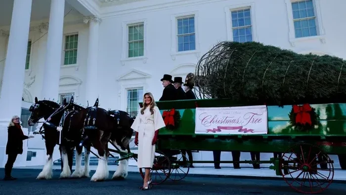 Dekorasi Natal Gedung Putih 2025