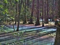 Foto Fenomena Alam Aneh yang Terjadi di Bumi