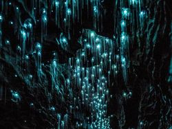 Foto Fenomena Alam Aneh yang Terjadi di Bumi