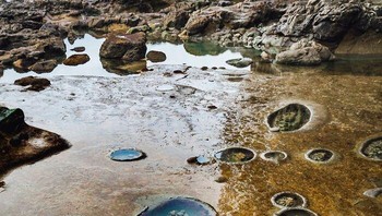 Pantai di Kanada dipenuhi dengan kolam pasang surut berwarna biru jernih yang tampak menakjubkan. Foto: via Bored Panda