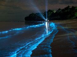 Foto Fenomena Alam Aneh yang Terjadi di Bumi