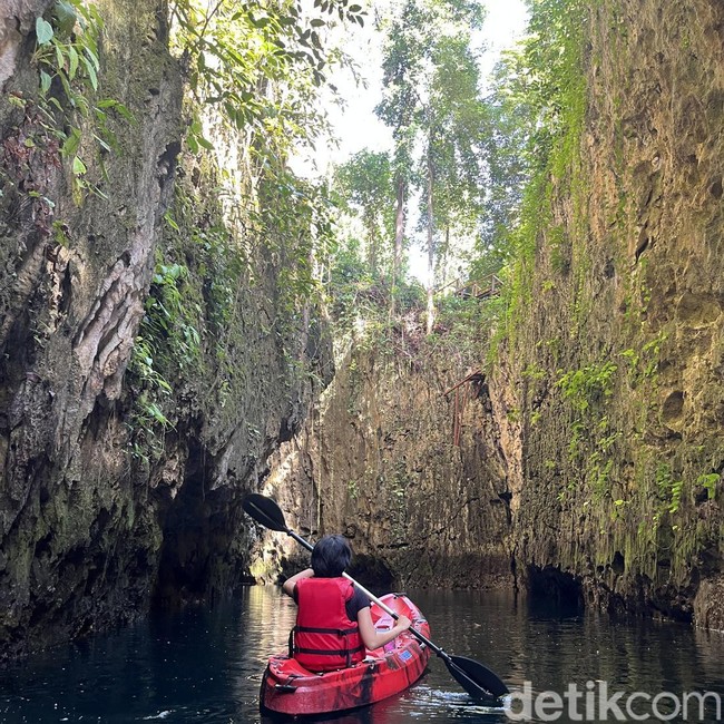 Potret Liburan di Gua Gumantung, Vibesnya Seperti di Film Avatar