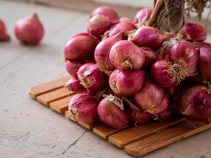 Salah Simpan, Sayuran Bisa Cepat Rusak! Ini 5 Tips dari Petani