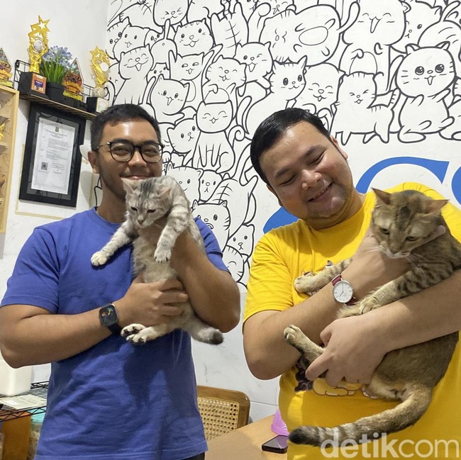 Melihat Kucing Gemoy di Shelter Cat Society of Surabaya